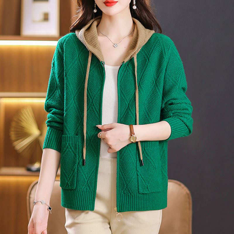 Áo Khoác Hoodie Có Khóa Kéo Dáng Rộng Phong Cách Mới Dành Cho Phụ Nữ Trung Niên