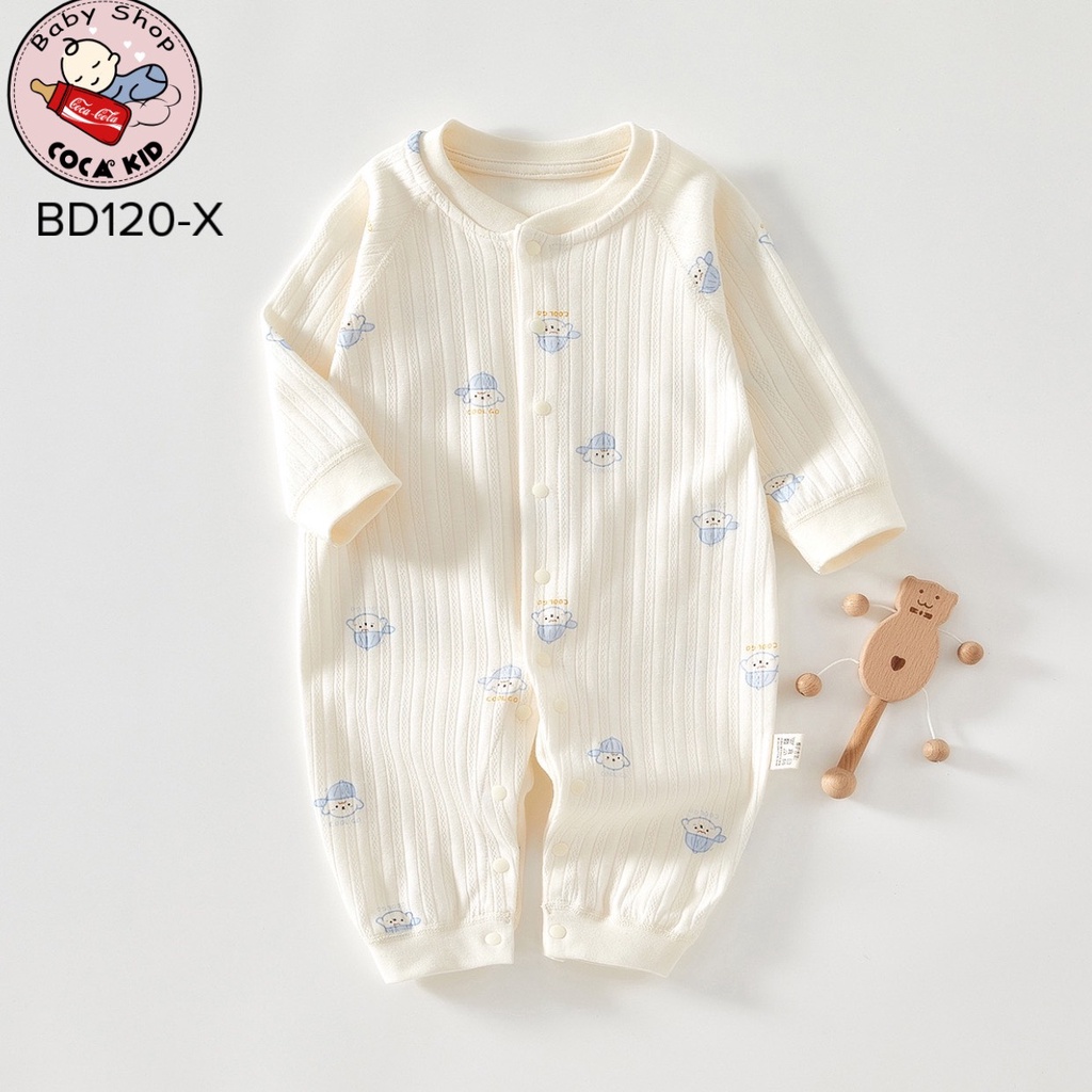 BODY COTTON CÚC GIỮA QUẢNG CHÂU