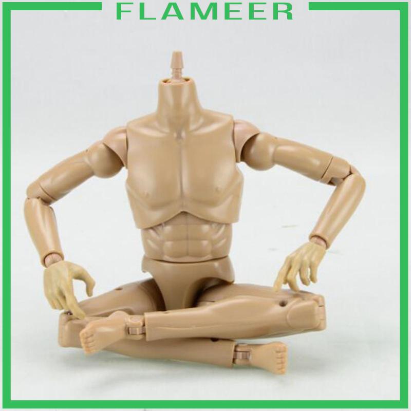 Mô Hình Cơ Thể Nam 12 inch Tỉ Lệ 1 / 6