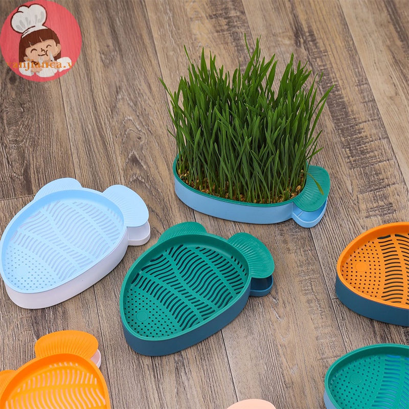 Yanca Hộp Gieo Hạt Trồng Cây Cỏ Mèo Thiết Kế Hình Tam Giác Có Thể Tái Sử Dụng vn