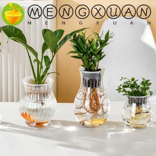 Mengxuan Chậu Cây Thủy Canh Tự Tưới Nước mini Bằng Nhựa Trong Suốt Đơn Giản Cho Bể Cá / Phòng Khách