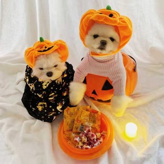 Mũ hóa trang halloween hình bí ngô cho thú cưng