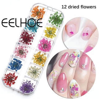 Nghệ Thuật Làm Móng 12/24/36 PC Hoa Khô Pha Lê Ren Hoa Màu Ba Chiều Cánh Hoa Trang Trí Móng Tay 12 Màu Móng Tay Nghệ Thuật Đồ Trang Trí 2023 Mới