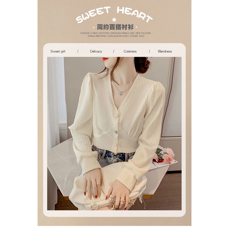 Áo Sơ Mi chiffon Tay Dài Thời Trang Xuân Thu 2023 Phong Cách Mới Cho Nữ