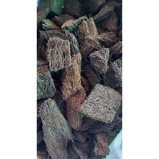 DỚN CỤC CHUYÊN TRỒNG LAN (kg)