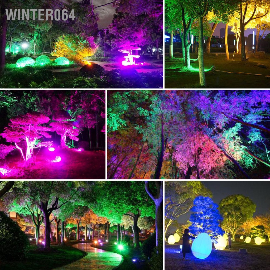 Đèn led 10w 12v rgb Chống Thấm Nước Kèm remote Điều Khiển Winter064