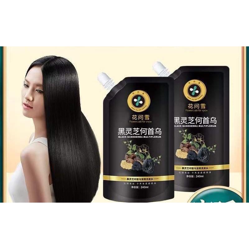 Dầu Gội Dưỡng Đen Tóc Cao Linh Chi Dr.Dmy 300g Nuôi Dưỡng Tóc Bóng Mượt, Đen TócTự Nhiên