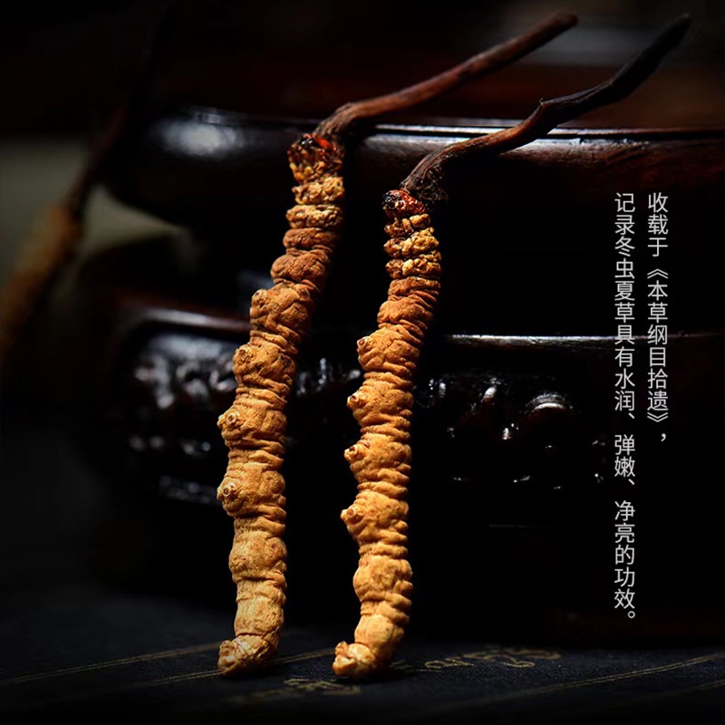 O chunxiu Kem Dưỡng Da Đàn Hồi Làm Sáng Và Săn Chắc Làn Da Dành Cho Người Lười Tuổi Đông Lạnh