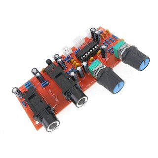 【adorb2】PT2399 NE5532 Microphone Amplifier Board Preamplifier Reverberation Panel