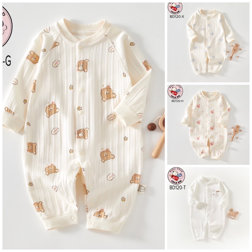 BODY COTTON CÚC GIỮA QUẢNG CHÂU
