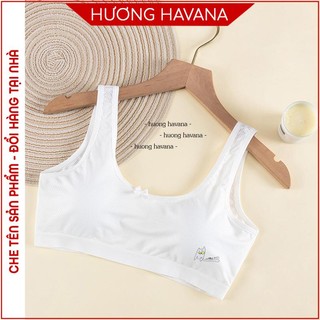Áo bra học sinh có đệm ngực cotton thông hơi họa tiết mèo cute FLA625