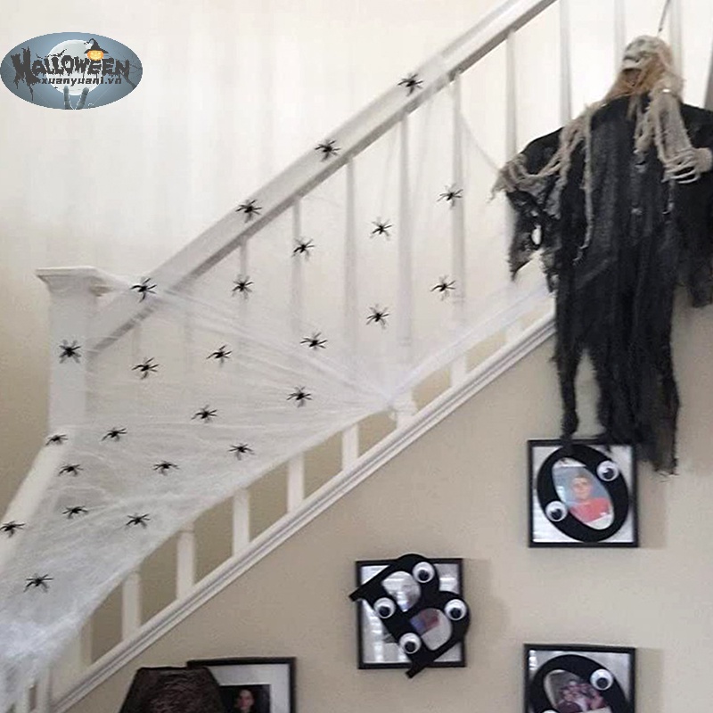 Set 50 Mô Phỏng Nhện Nhựa Màu Đen Trang Trí halloween vn