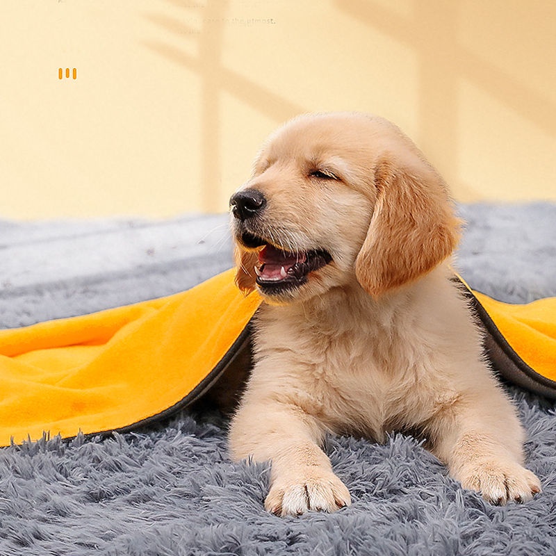Khăn Tắm hipidog Sợi Siêu Mịn Siêu Thấm Hút Nhanh Khô Không Phai Thích Hợp Cho Thú Cưng