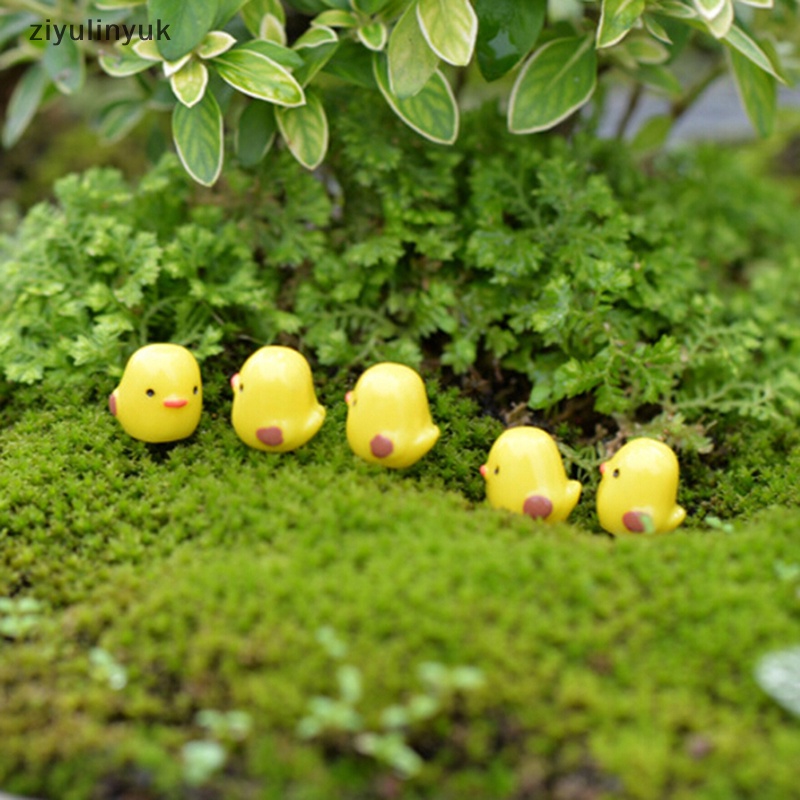 Ziyulinyuk Set 5 Mô Hình Chú Gà Con Màu Vàng mini Trang Trí Tiểu Cảnh / Vườn / Nhà Búp Bê diy