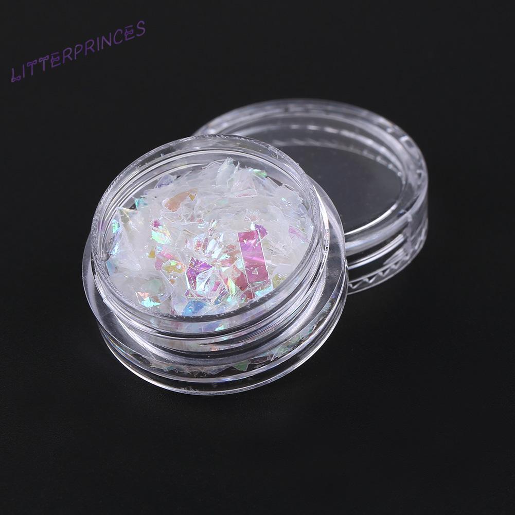 Bộ 4 Hộp Keo Dán Móng Tay Hình Vỏ Sò diy Dạ Quang