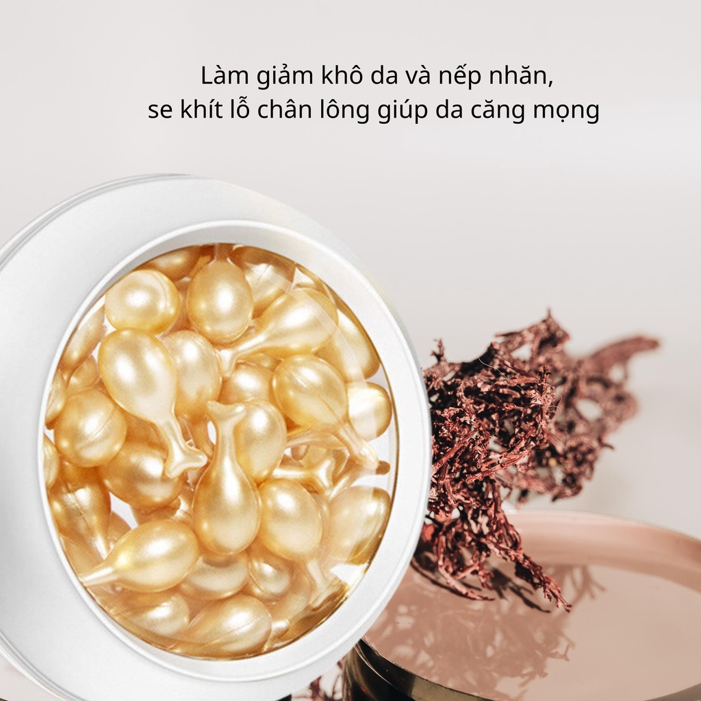 Hộp 30 Viên Serum Dưỡng Da CSK Nâng Tông Màu Da, Nuôi Dưỡng Và Làm Sáng Da