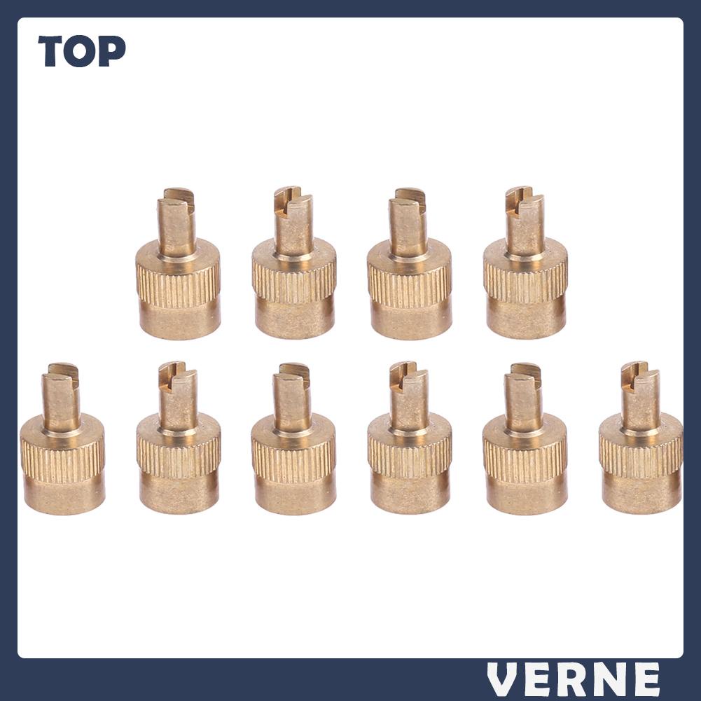 Bộ 10 Nắp Van Khí Chuyên Dụng Cho Xe Hơi / Xe Máy