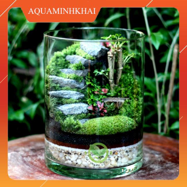 Đá viên tự nhiên làm bậc thang đá - trang trí tiểu cảnh, terrarium, trang trí thuỷ sinh - Đá ghi và đá vuông đen, trắng