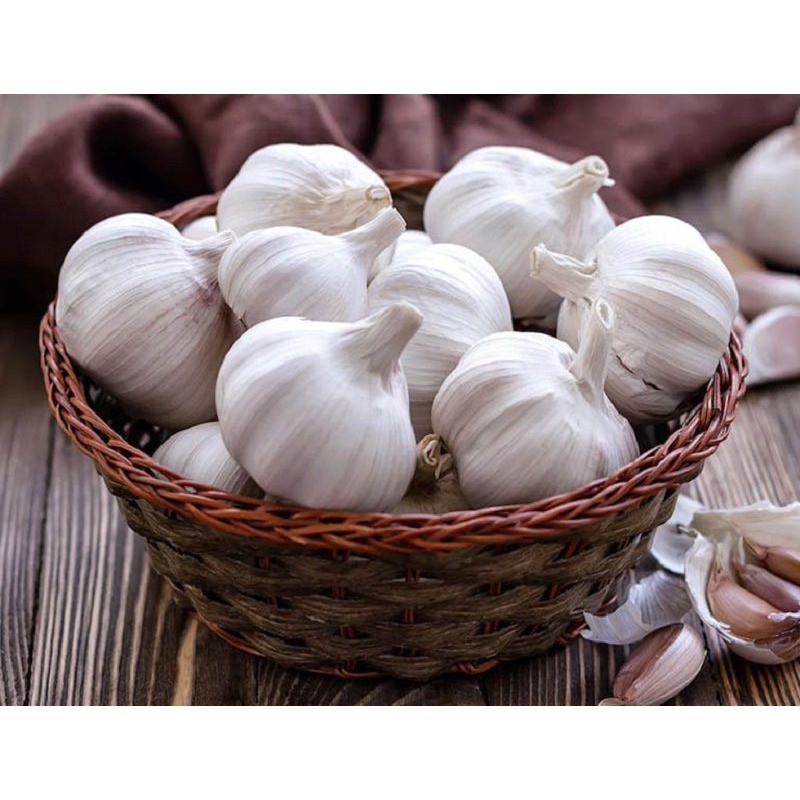 Tỏi Nguyên Nhánh to tròn túi 500gr, 1kg - CHỢ NÔNG SẢN SẠCH