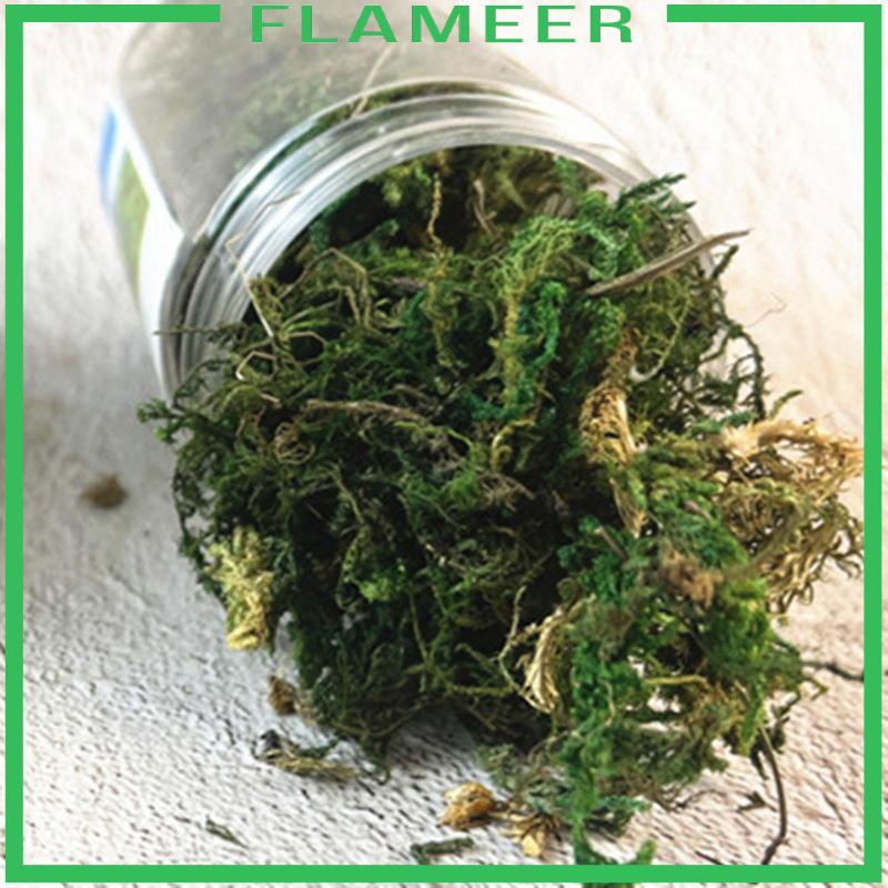 Cluster Cỏ Nhân Tạo Dùng Để Trang Trí Mô Hình Bãi Cỏ tuft Mini diy