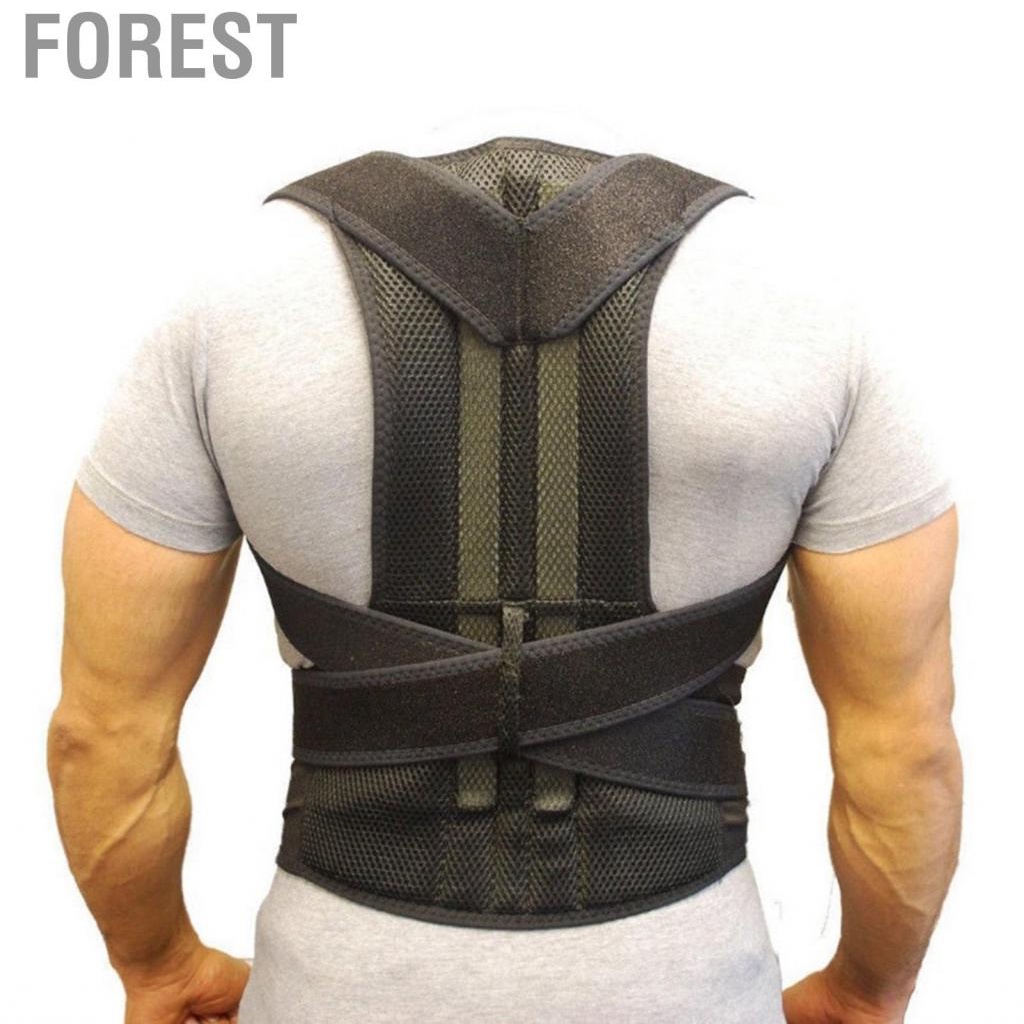 Forest Posture Corrector Back Brace High Elasticity Breathable Adjustable Support Universal Orthopedic Strap