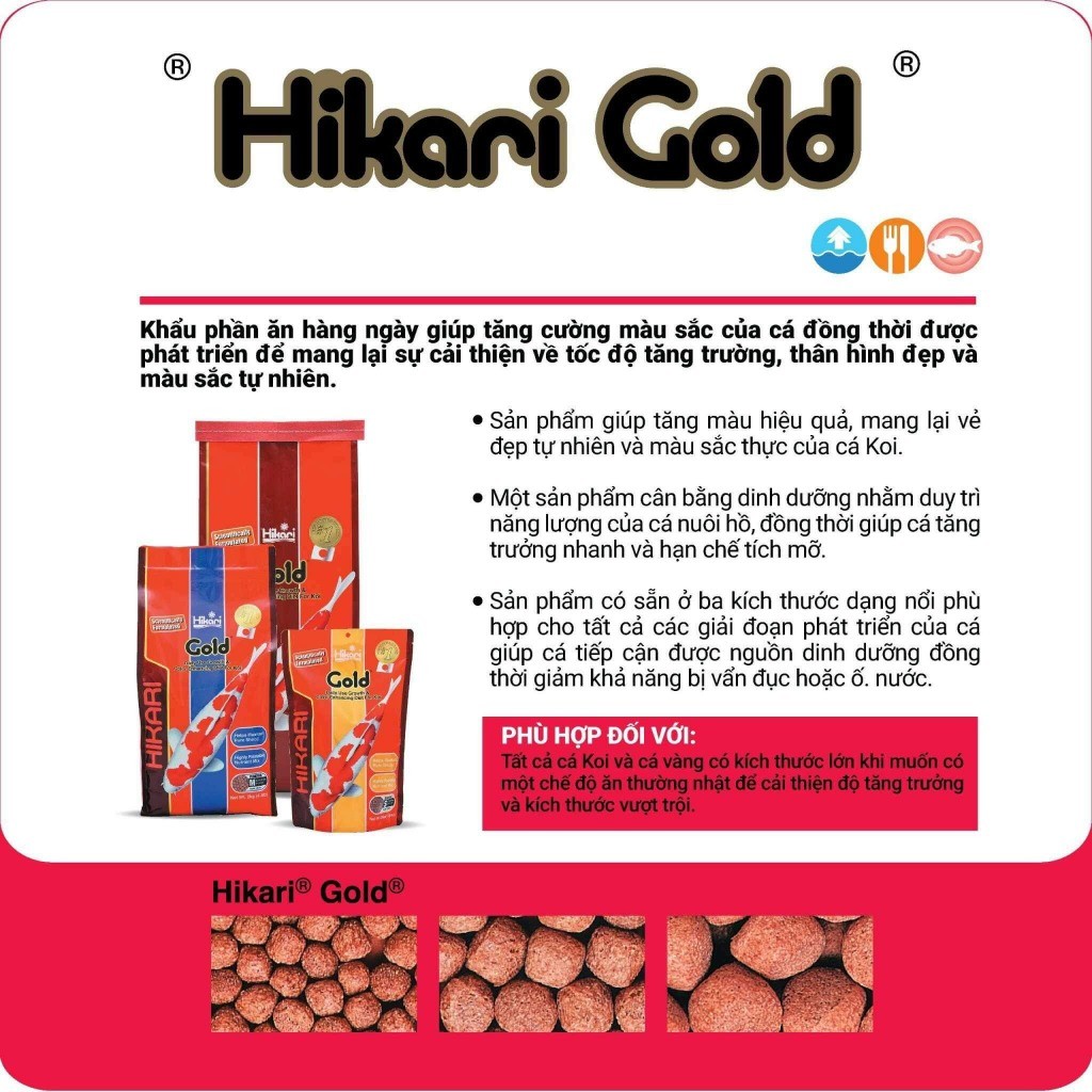 CÁM HIKARI DÀNH CHO CÁ KOI| CÁM HIKARI STAPLE| CÁM HIKARI GOLD BAO 10KG| CÁM HIKARI HÀNG CHÍNH HÃNG