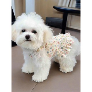 Quần áo thú cưng mùa hè cho chó và mèo nhỏ - Áo Vest lưới thoáng khí siêu mỏng có dây đeo có thể điều chỉnh, trang phục không tay làm mát cho chó con & mèo con