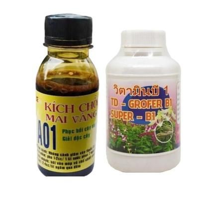 COMBO KÍCH CHỒI MAI VÀNG A01 100ml và phân bón lá Vitamin B1 TD Grofer super b1 Thái Lan 100ml dùng 