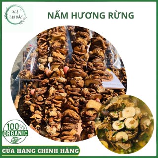 NẤM HƯƠNG RỪNG XIÊN KHÔ, Nấm Hương Xiên Khô Thơm, Giòn Loại 1 Đặc Sản Tây Bắc