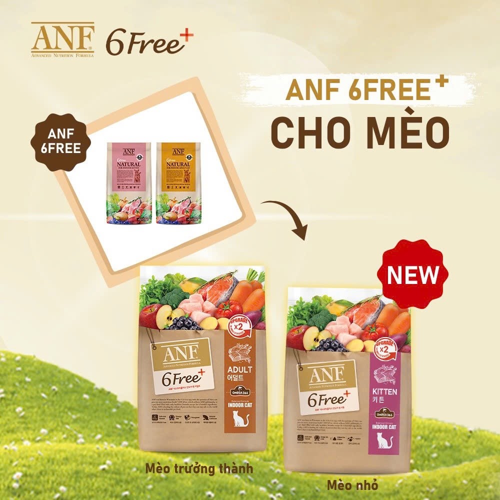 (1.6kg-2kg-5.6kg-6kg) Hạt ANF 6Free Indoor Cho Mèo Con và Trưởng Thành - MM