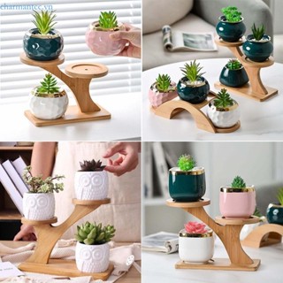 Charmantcc1 Chân Đế Cây Cảnh Bền 3 Lớp Giá Đỡ Chậu Hoa Cho Kệ Sách Để Bàn Chống Biến Dạng Planter Ba