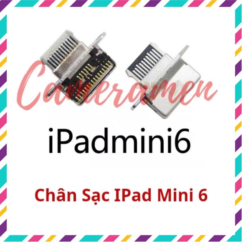 ( Có Sẵn ) Chân Sạc Mini 6 / I Pad Mini6