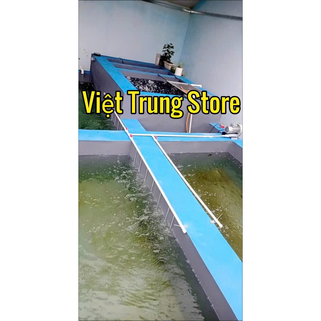 Máy thổi khí oxy con sò 750w sục oxy bể kanet,bể nuôi vi sinh,bể nuôi cá,bể dèo tôm