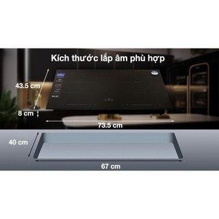 Bếp từ đôi lắp âm BlueStone ICB-6917