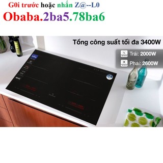 Bếp từ đôi lắp âm BlueStone ICB-6917