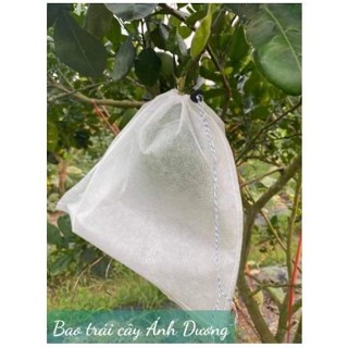  50 CÁI túi bọc trái cây dùng bao trái ổi xoài mướp mít dùng nhiều mùa_túi bao trái cây cao cấp ánh dương 