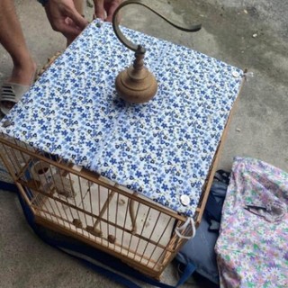 Tấm che nắng bịt nóc lồng chim chào mào đủ cỡ đủ loại vải hoa siêu đẹp Phụ kiện lồng chim Vac