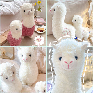 Thú Nhồi Bông Hình Lạc Đà Alpaca Dễ Thương Trang Trí Ghế Sofa