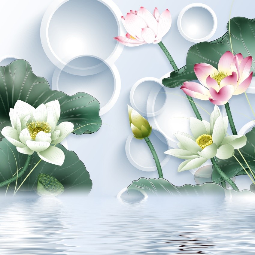Tranh Dán Tường HD Hoa Sen – Trang Trí Sắc Nét, Nhiều Kích Thước | Mijan Decor