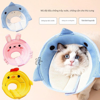 Chống liếm/ vòng chụp cổ xốp dễ thương cho thú cưng - Tiệm Mèo Moa