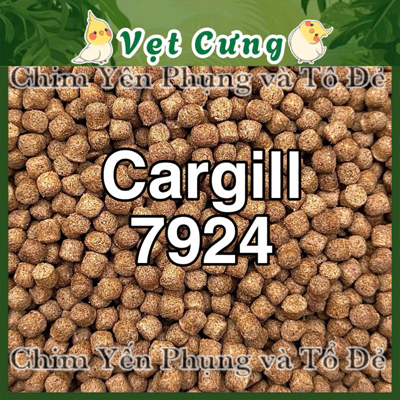 Cám Nền Vàng Cargill 7924 (1kg) – Thức Ăn Chất Lượng Cho Cá Chép & Câu Cá