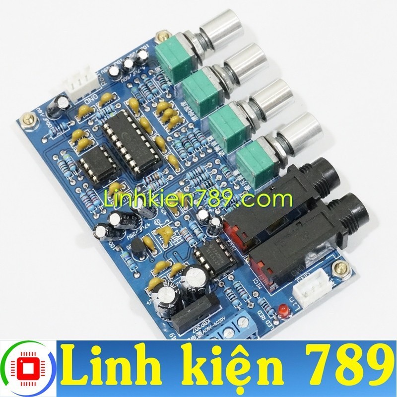 Mạch micro karaoke 12V đôi V1 XH-M173