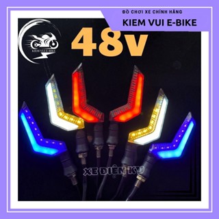  Xi Nhan Z 48V Dành Riêng Cho Xe Điện 133m 133s CapA Không Cần Đổi Nguồn giá 1 đôi 