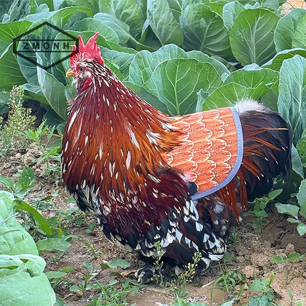 Yên gà ZMONH cho gà mái, Tấm bảo vệ lưng tạp dề gà cho gà mái có dây đeo có thể điều chỉnh, Yên ăn g