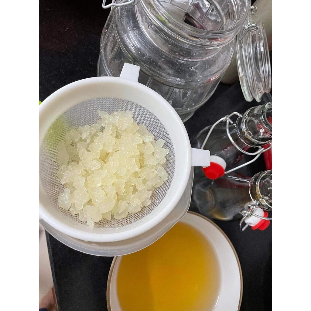 Rây Nhựa Lọc Nấm Sữa, Water Kefir, Lọc trà Kombucha