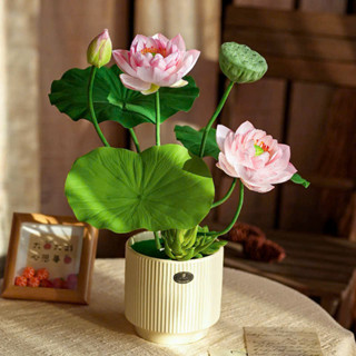  Hoa Giả Cụm Hoa Sen Giả Cao Cấp Để Bàn Trang Trí Nhà Cửa Decor 