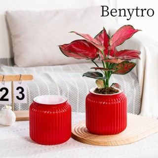 Benytro Chậu cây BENYTRO, Chậu hoa nhựa tự tưới nước, Chất lượng để bàn thấm nước làm dày bình hoa tại nhà