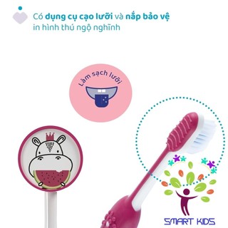 Bàn Chải Đánh Răng Chicco
