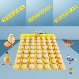F & Z 8 / 22 / 36 Lỗ Máy ấp trứng tự động Khay đựng trứng gà Máy ấp trứng cho vịt Gia cầm ngỗng Chim Phụ tùng thay thế mới