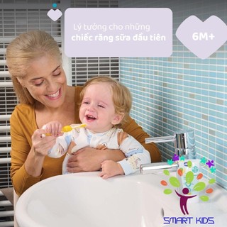 Bàn Chải Đánh Răng Chicco